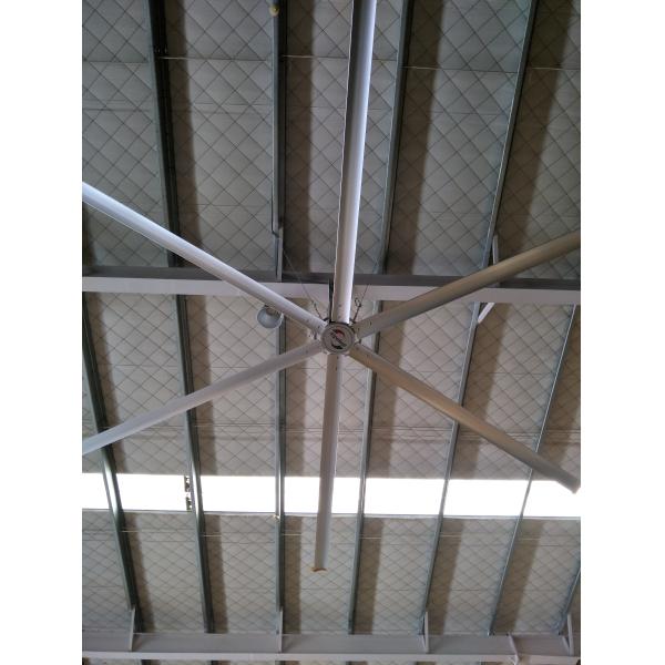 AWF49 Large Ceiling Fans / Big Industrial Ceiling Fans With 6 Blades
