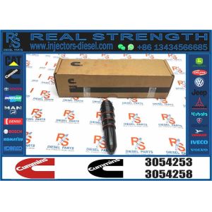 NT855 Engine Fuel Injector Nozzle Assembly 3054218 3054253 for Construction