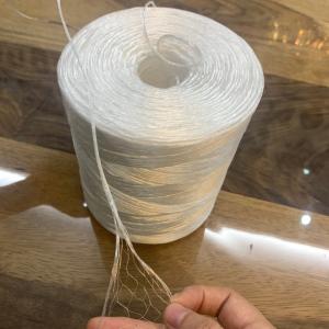 1200m/kg Split Film Yarn Tomato Hook Polypropylene Twine For Greenhouse Tomato