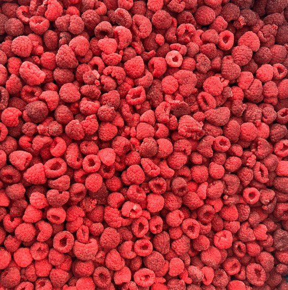 Quality High Quality  Frozen Whole Raspberries wholesale