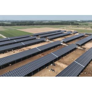 Galvanized Steel Frame Cattle Shed With Automatic Livestock Feeding System And