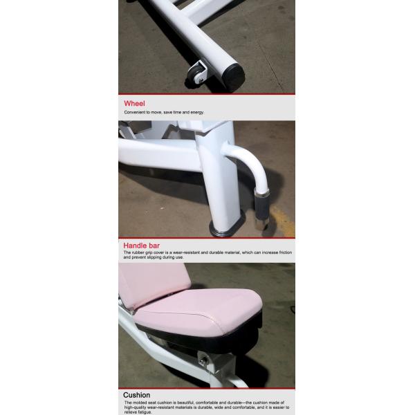 Lady Gym Fitness Equipment Pink Cushion Multi - Adjustable Bench