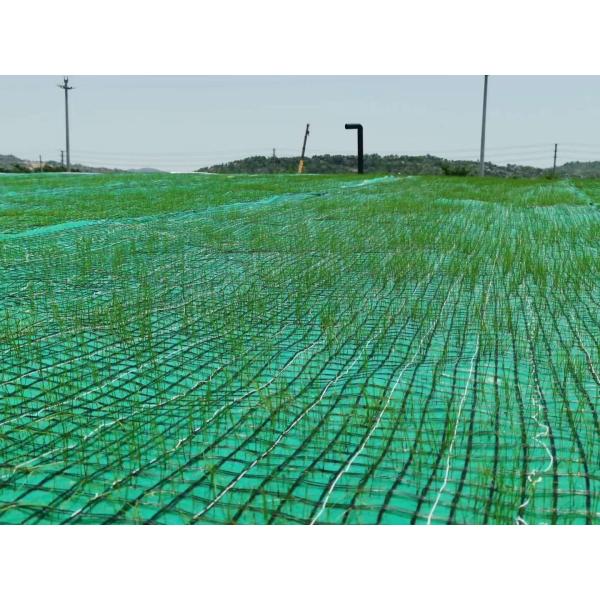 Quality Geocomposite Vegetation Coconut Fiber Mat Reinforced By Nonwoven And Geogrid wholesale