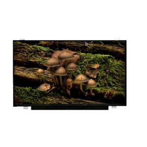 LQ173D1JW32 3840*2160 17.3 inch LCD Screen Display