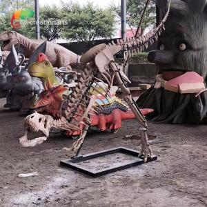 Sunproof Resin Dinosaur Skeleton Gasosaurus Skull