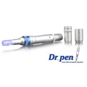 OEM ODM Microneedle Derma Pen With 12 Pin 36 Pin Nano Micro Needling