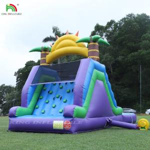 Double Lane Inflatable Water Slide Combo With Pool Obstacle To Climb Inflatable