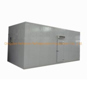 Large Capacity COLDROOM33 Walk in Freezer Room for Frozen Food Fish Meat