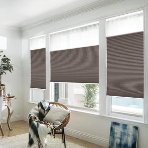 WELLSOURCE Manual Cordless Day and Night Cellular Shades Non Blackout Light