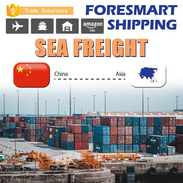 Quality China To Asia FCL Ocean Freight Full Container Shipping wholesale