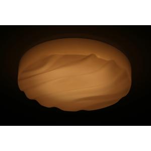 Remote Control LED Indoor Ceiling Lights , φ460mm×110mm Small LED Ceiling Light