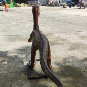 Personalized Customization Fiberglass Animatronic Replica Realistic Dinosaur