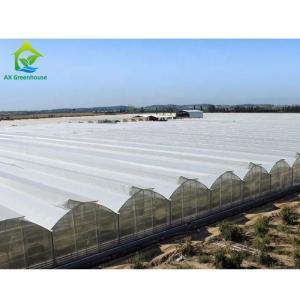 China Tunnel Tomato Cooling System Multi Span Greenhouse Agriculture Commercial on sale