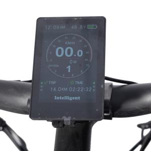 48V 20Ah Lithium Battery Color LCD Display Electric Mountain Bike Central Motor