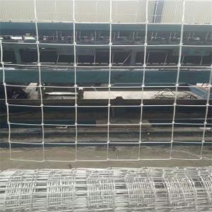 Hinge Joint Knotted Field Wire Fence With Hot Dipped Galvanized Surface