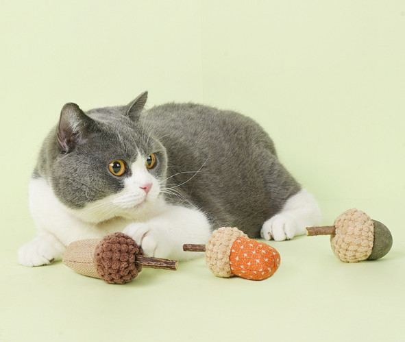 Scratcher Training Catnip Chew Toys For Cats Teeth For Pets Kittens Kitty