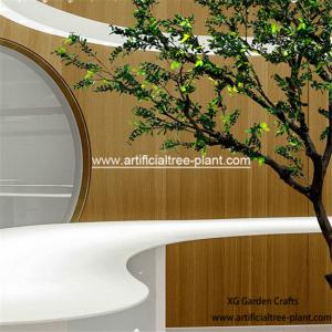 Berry Plant Pepper Artificial Evergreen Trees / Zanthoxylum Bungeanum Tree Hotel