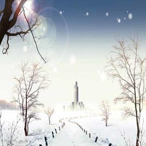 Different type beautiful printed roller blind/roller shade /Motorized roller