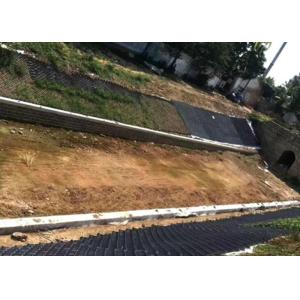 Smooth Acid Resistance Plastic Geoweb Cellular Confinement System