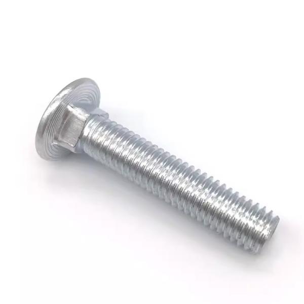 18-8 Stainless Steel Chrome Plated Carriage Bolt SS SUS 304 316 316L A2 A4 70 80