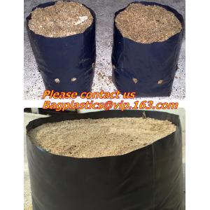 vegetables, fruits, seeds, bedding plants, tomatoes, peppers, cucumbers, tree