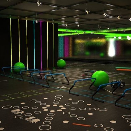 Quality Unique Dog Bone Shape  Rubber Flooring Recycled Rubber Floor Mats wholesale