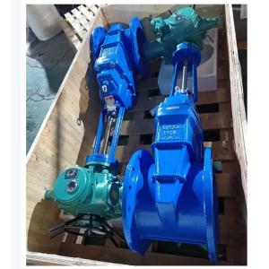 Rubberized Wedge Flange Gate Valve Cast Iron Body for Durability and Reliability