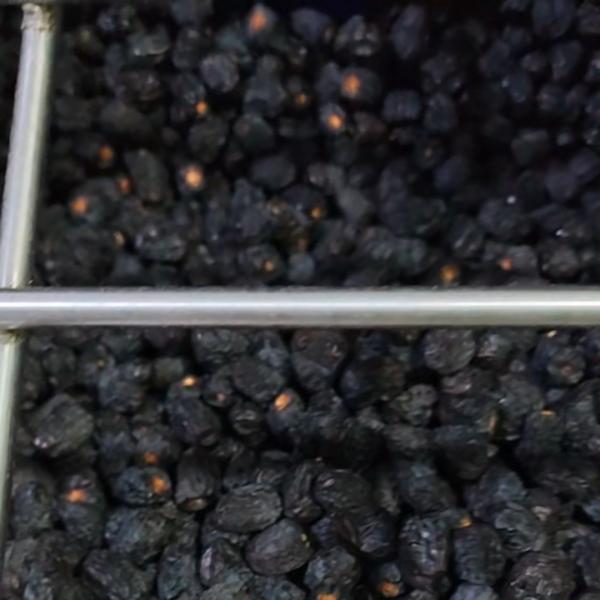 Quality High-capacity Dates Sorting Machine, Deep Learning, 6 lanes+10 outlets, 1.8 Tons per hour, High Efficiency wholesale