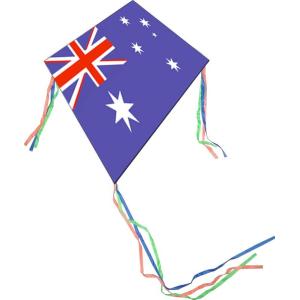 Autumn Polyester Kite , 60~100cm Wing Span Childrens Kites Easy Control