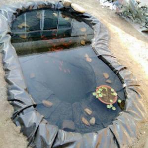 Modern Design Smooth Geomembrane 0.5mm 1mm 2mm Fish Pond Liner Waterproof Direct