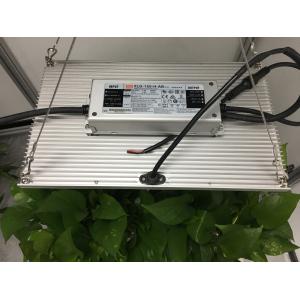 ETL IP65 Horticulture Quantum Board For Garden