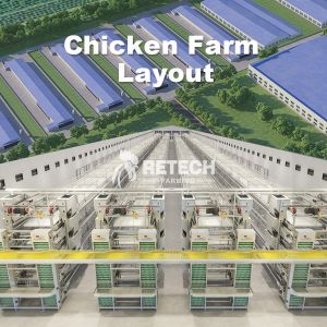 Easy to Assemble Prefabricated Poultry House for Poultry Farming with Q355B