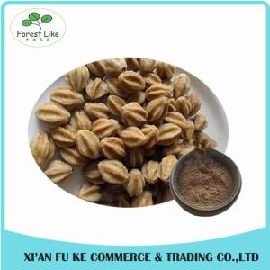 Bulk Quantity Pure Natural Insecticide Neem Seed extract