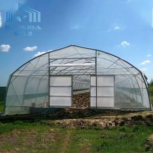 China Agricultural Plastic Tunnel Greenhouse Hoop Greenhouse For Growing Vegetable on sale