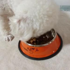 Stainless Steel Pet Cat Dog Bowls Feeders Customized Sublimation Non-Slip LCD