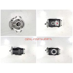High-Pressure Hydraulic Gear Pump with 100BAR Operating Pressure 1/4inch