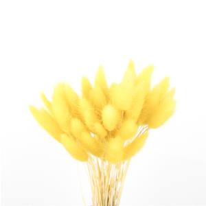 Home Decoration Beautiful Dried Flowers Rabbit Tail Grass Custom Color