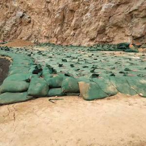 China Seawall Geotextile Geobags Polyester Non Woven Geotube Eco Friendly on sale