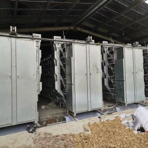 China Layer Raising Poultry Manure Removal System 1.2mm PP Belt ISO9001 Approval on sale