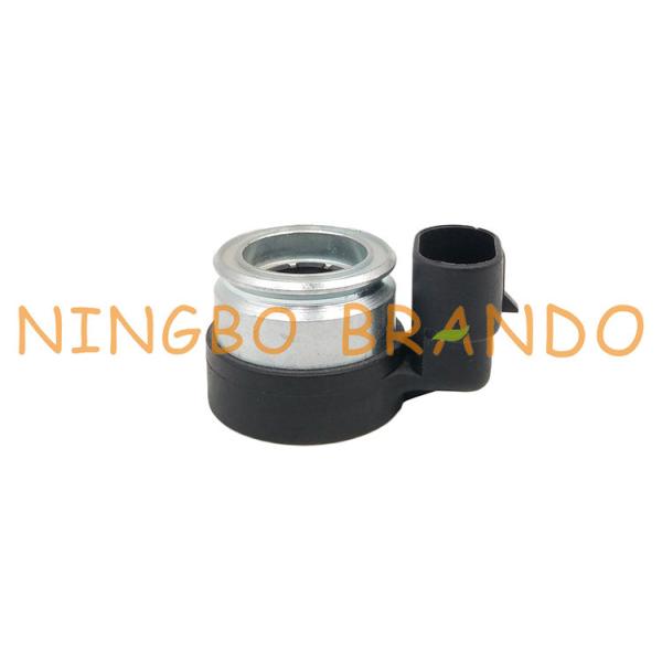 Quality Solenoid Coil 12V DC For AEB LPG ECO-EVO R2S P3SU P4SU Injector Rail wholesale