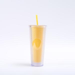 DIY Studded Tumbler With Lid And Straw Reusable Plastic Acrylic Cup Double