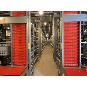 Energy Saving H Type Poultry Cage Driving Smoothly For Poultry Feeding Line