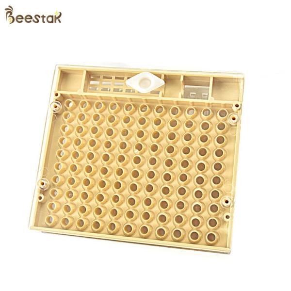 Quality Yellow Queen Rearing Cupkit System For Agricultural Beequeen Tools Cupkit System wholesale