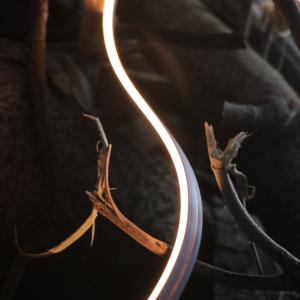 12V/24V IP44&IP67 2-Step MacAdam bin and dot free White /RGB LED Strip