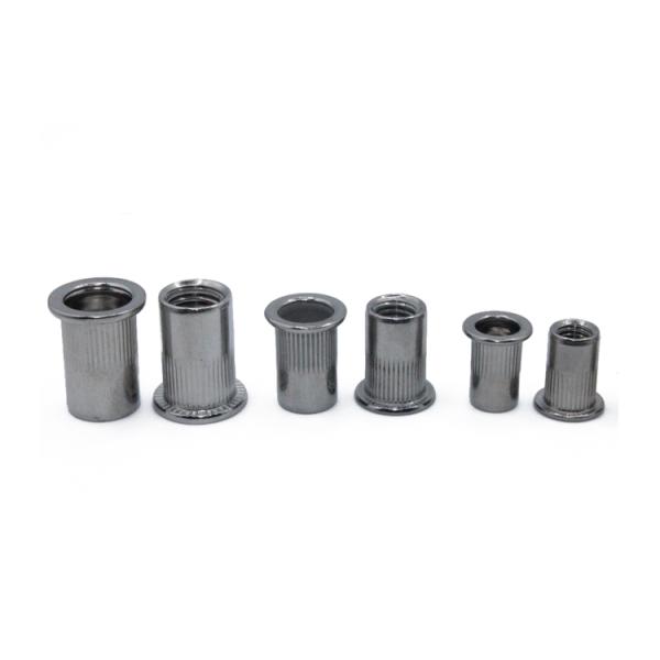ISO Standard Galvanized Stainless Steel Blind Rivet Insert Screws with Bright Finish