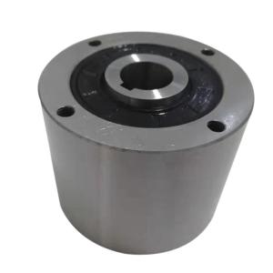 overrunning clutch cam clutch MG700/MI700 mechanical clutch Indexing clutch