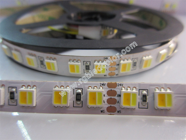 Quality 5050wwa three different white cct dimmable led strip wholesale
