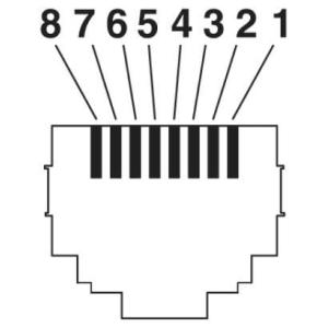 M12 8pin X Coding Male To RJ45 Male Molded Shielded Waterproof Connector Cable