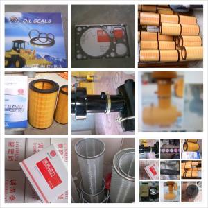 China Air Filter & Oil Filter & Diesel Filter & Hydraulic Oil Filter etc on sale