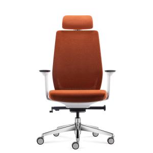 Ergonomic Mesh Modern Office Chairs Lumbar Support Adjustment Customizable